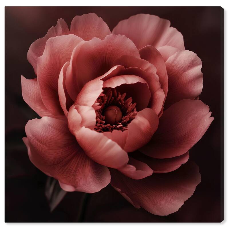 Velvety Richness II Canvas by Art Remedy, Gallery Wrapped - 24" x 24"