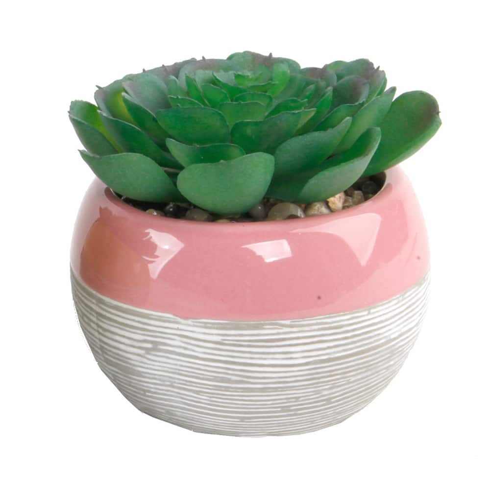 Succulent in Two tone lines pattern ceramic pot ,Teal - ONE-SIZE