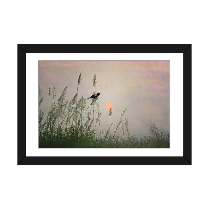 iCanvas "Red Winged Blackbird In Marshes At Dusk" by Laura D Young - Black - 24x32x1