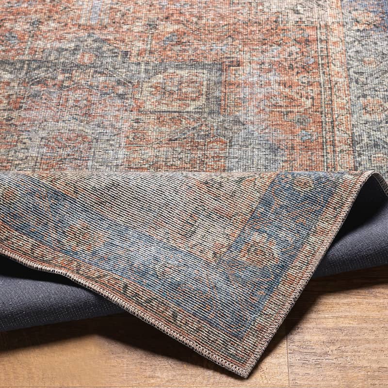 Epaphras Traditional Medallion Area Rug