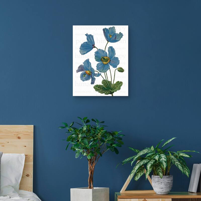 Himalayan Blue Poppy Text by Design Lab Canvas Art Print