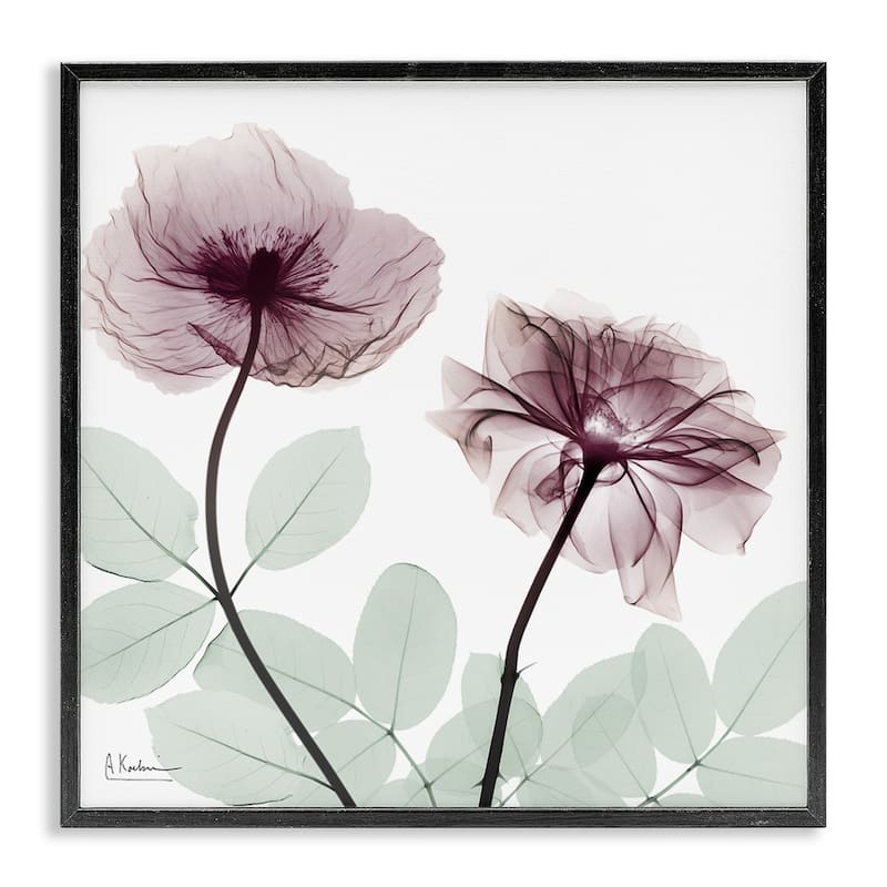 Stupell Delicate Floral Bunches Framed Giclee Art Design By Albert Koetsier - 24 x 24 - Black