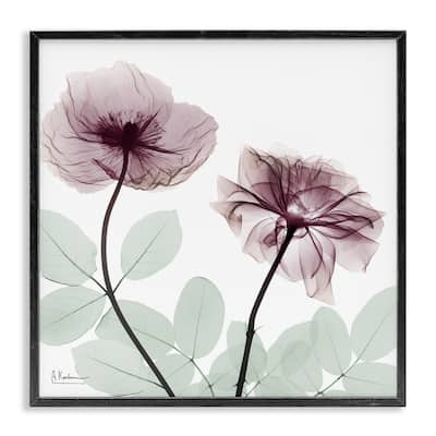 Stupell Delicate Floral Bunches Framed Giclee Art Design By Albert Koetsier