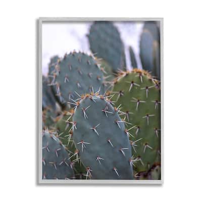 Stupell Prickly Cactus Thorns Close Up Photography Desert Vegetation Framed Wall Art, Design by Jeff Poe Photography - Green