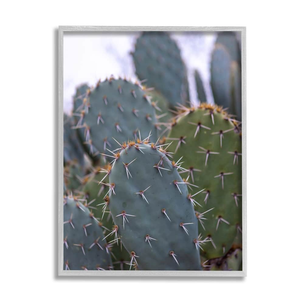 Stupell Prickly Cactus Thorns Close Up Photography Desert Vegetation Framed Wall Art, Design by Jeff Poe Photography - Green