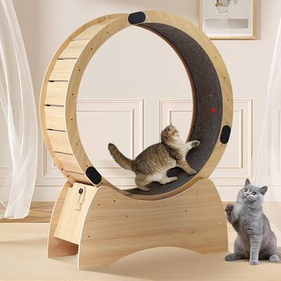 38.9'' Cat Wheel Exerciser for Indoor Cats - 38.9''