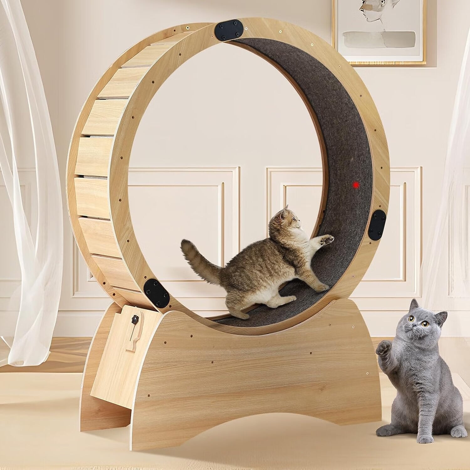 Indoor sales cat wheel