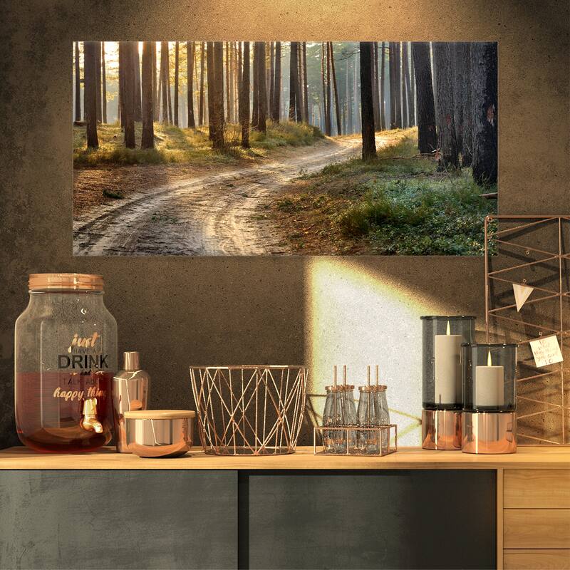 Designart "Road in Thick Morning Forest" Landscape Photo Canvas Art Print - 32 in. wide x 16 in. high