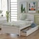 Option White