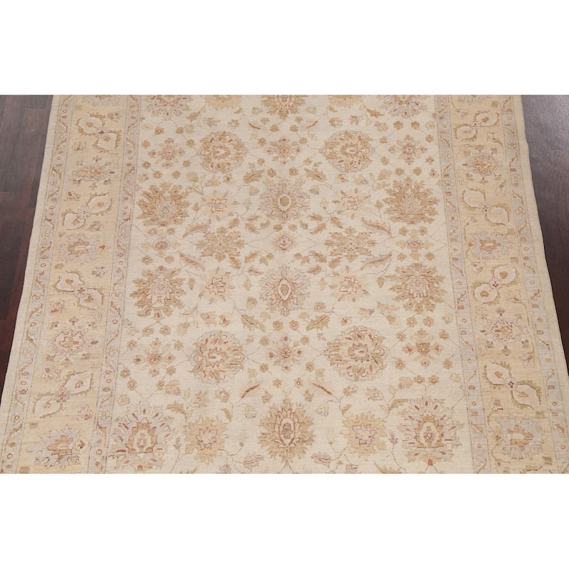 Vegetable Dye Chobi Peshawar Traditional Wool Area Rug Hand-knotted - 6'5" x 9'3"