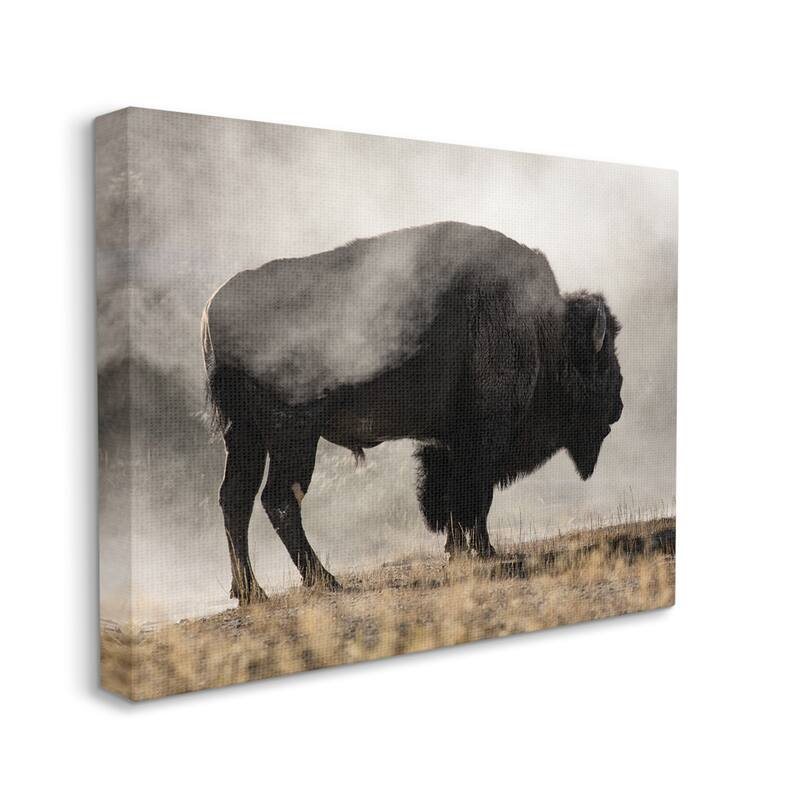 Stupell Powerful Bison Grazing Foggy Rural Pasture Photography Canvas Wall Art, Design by Danita Delimont