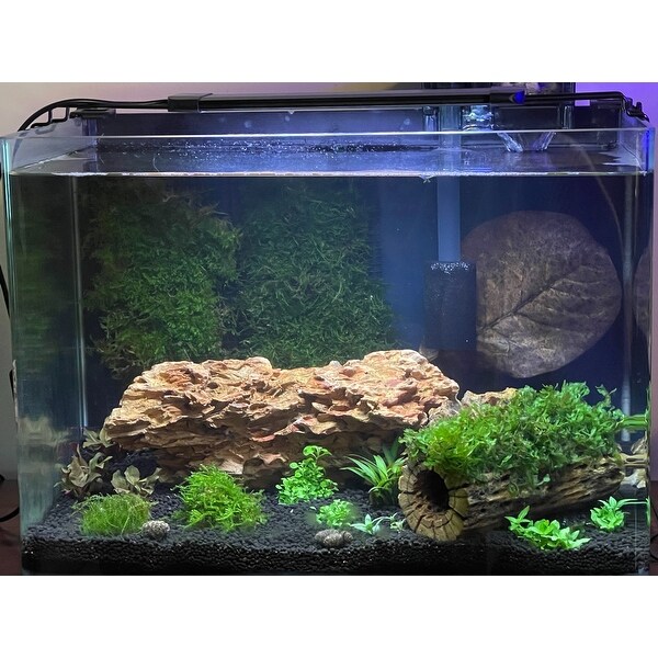 penn plax radius clear desktop aquarium