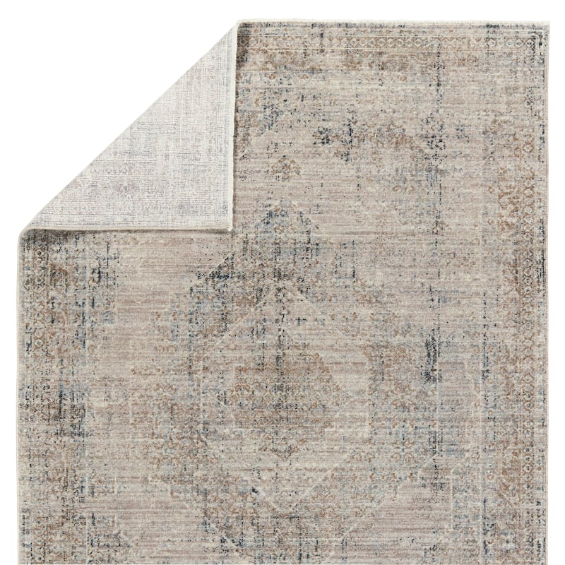 Adonia Medallion Taupe/ Blue Area Rug