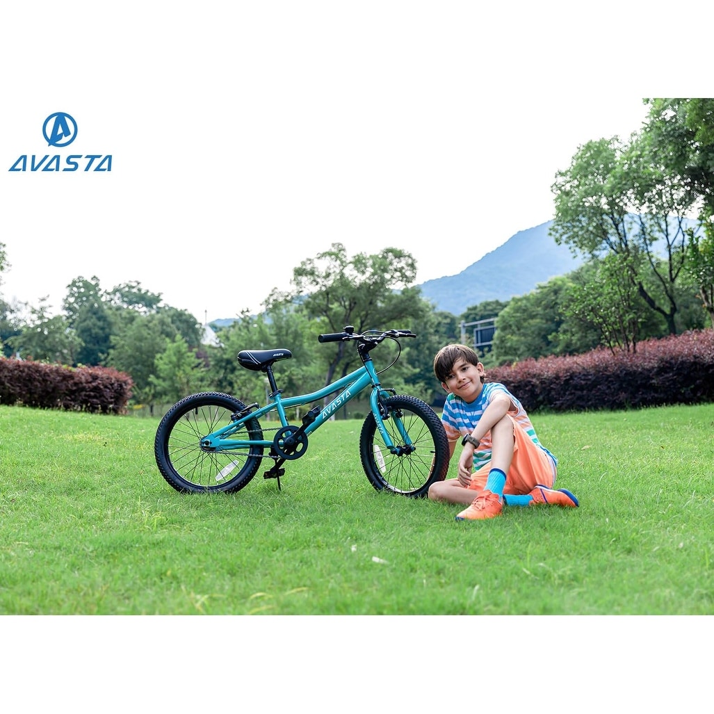 3 wheel bike for 10 year old clearance