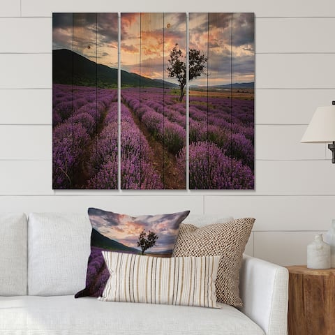 Designart 'Lavender Field At Dawn III' Farmhouse Print on Natural Pine Wood - 3 Panels