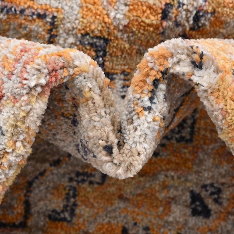 Traditional Nixa Collection Area Rug