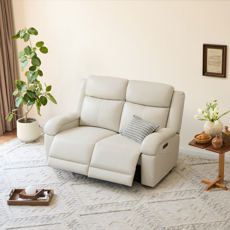 Spruce & Spring Hadlee Genuine leather Reclining Sofa with Multi-Function Console.