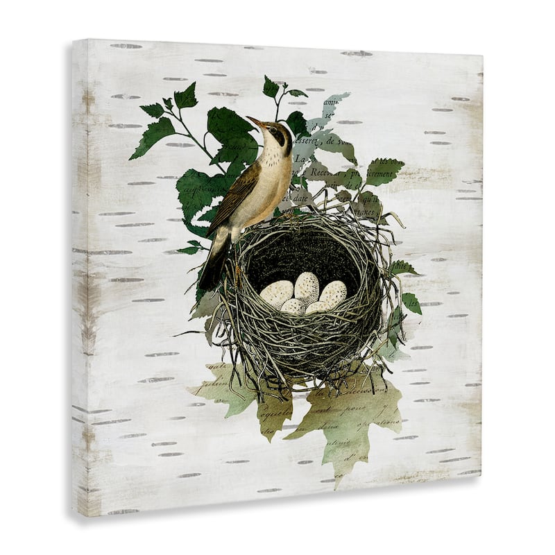 Stupell Vintage Bird Nest & Flora Canvas Wall Art Design By Susan Arnot