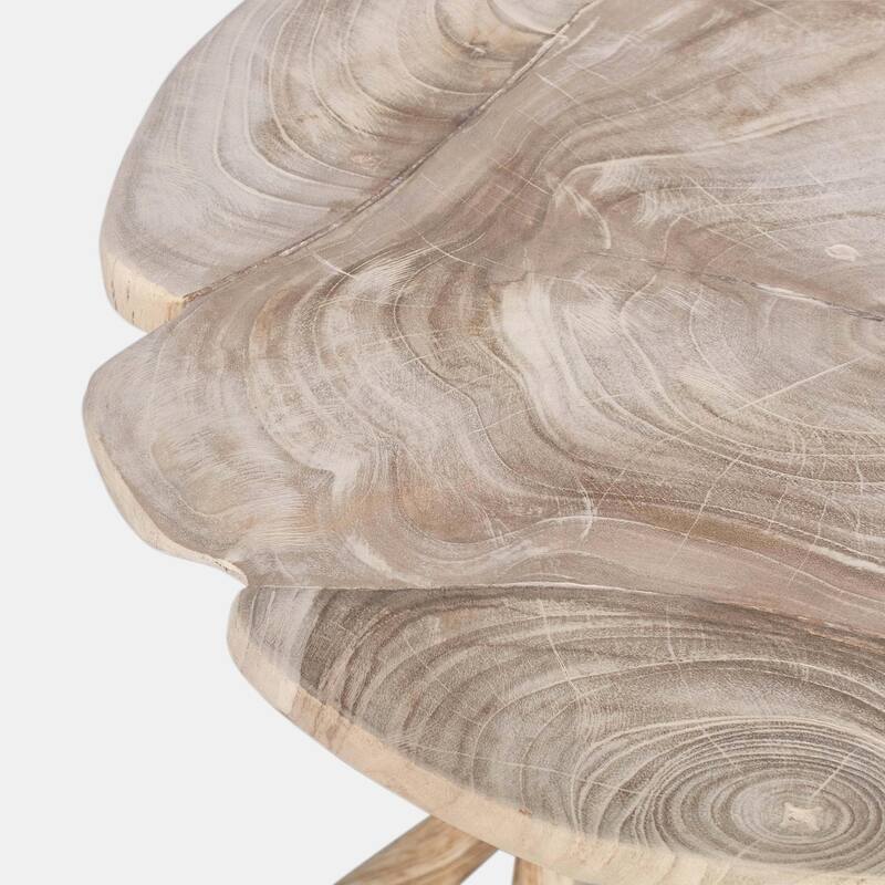 Roell Solid Teak Wood Branch Base Accent Table by East at Main