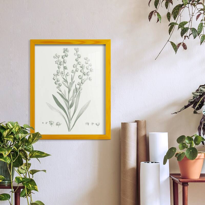 Botanical Study in Sage I -Framed Print w/glass-Cherry Red