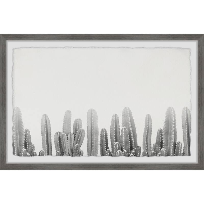 Cacti Splendor II Framed Wall Art, Elegant Home Touch - Sophisticated Artwork for Refined Décor