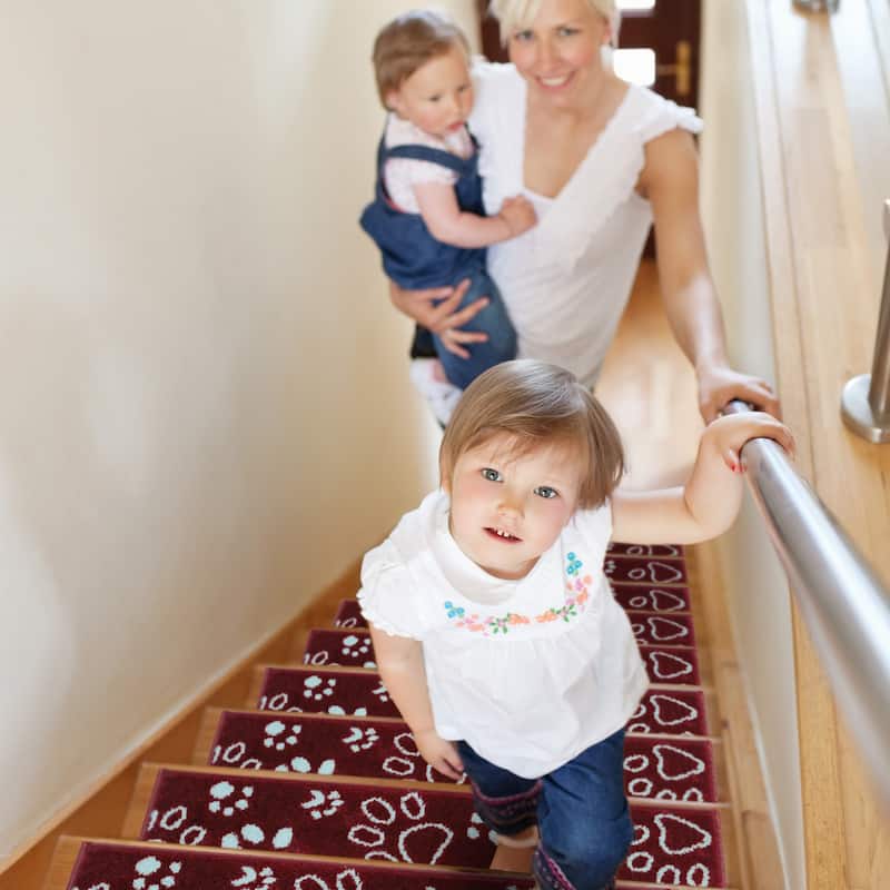SUSSEXHOME Paw Collection Stair Treads Polypropylene 9"x28"