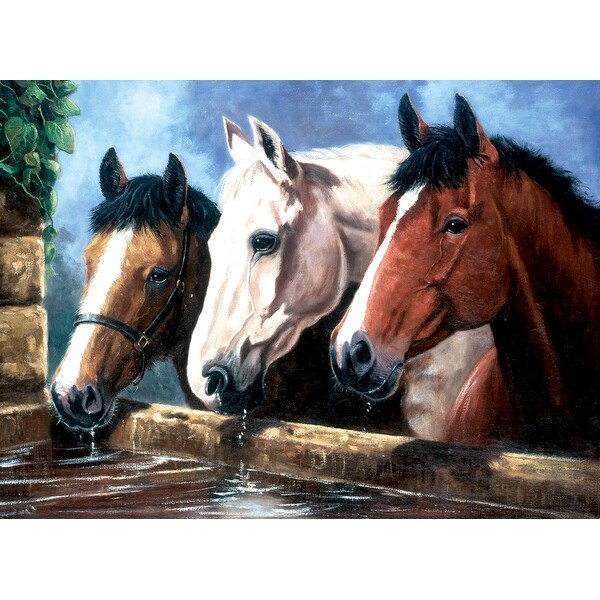 Junior Large Paint By Number Kit 15.25"X11.25"-3 Of A Kind