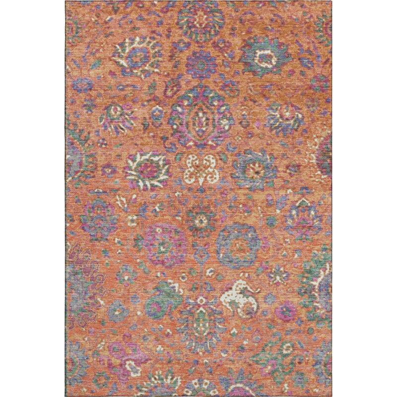 Premium Washable Super Soft Traditional Global Mayfield Rug