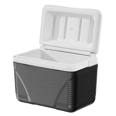 Portable Cooler 8.5 QT Insulated Hard Cooler for 12 Cans with Handles - 13 x 8.5 x 10.2 in