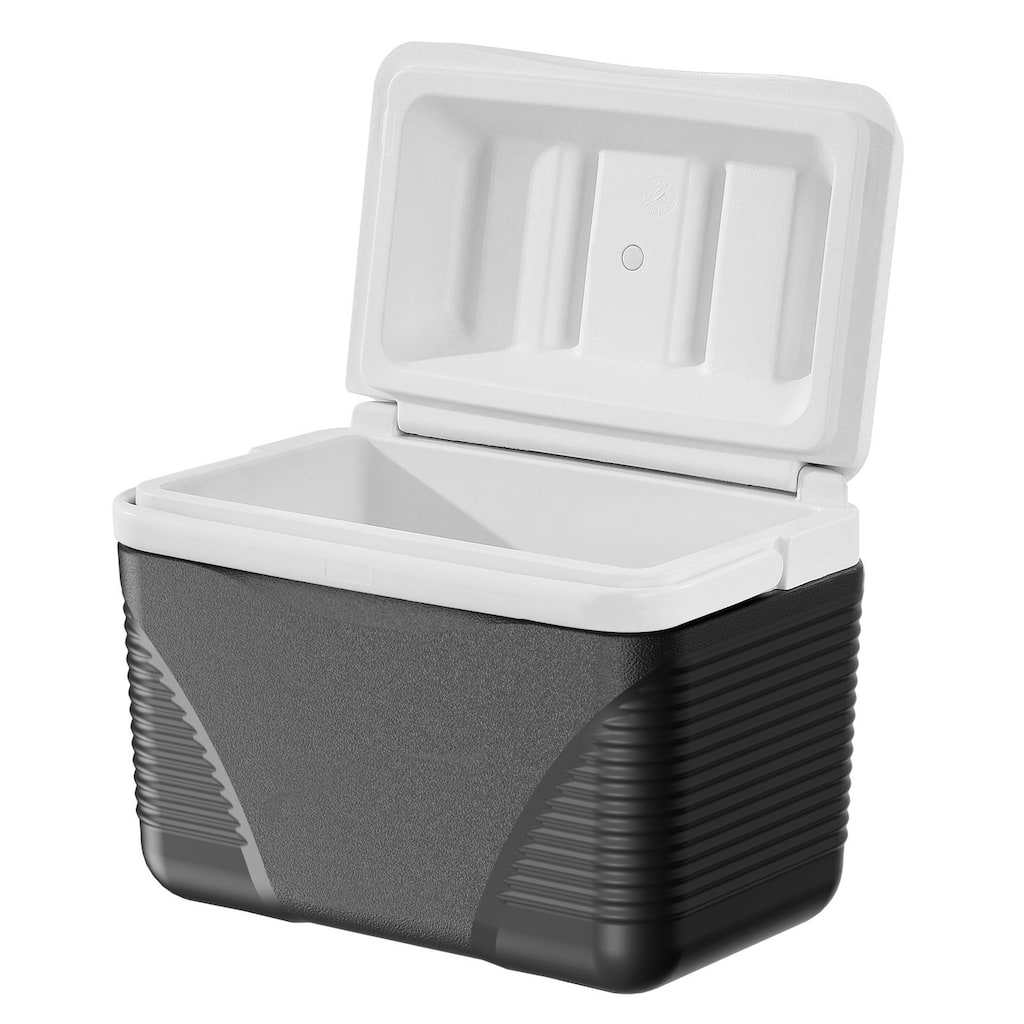 Portable Cooler 8.5 QT Insulated Hard Cooler for 12 Cans with Handles - 13 x 8.5 x 10.2 in