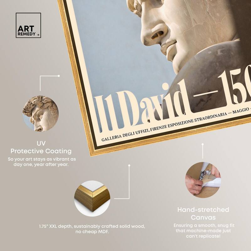David in Marble Canvas by Art Remedy