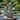 Glitzhome MGO Lucky Stacked Frogs Garden Statues with "Welcome" Sign Zen-style Sculpture