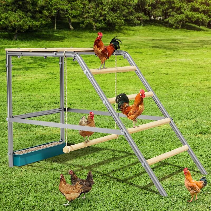 Chicken Perch for Coop for Backyard Farm Chickens in Coop
