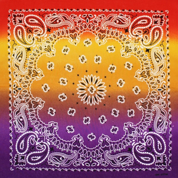 Paisley Bandana Cotton Multicolor Head Face Mask Wrap Scarf 6-12 Pack. Opens flyout.