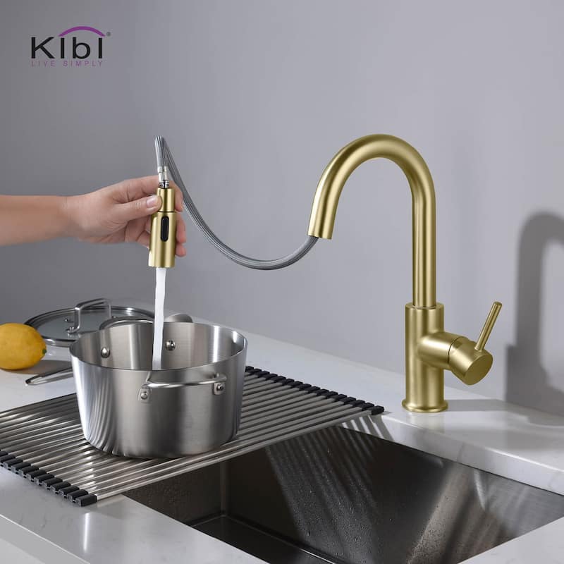 Single-Hole Pull-Down Kitchen Faucet with Sprayer and Magnetic Docking
