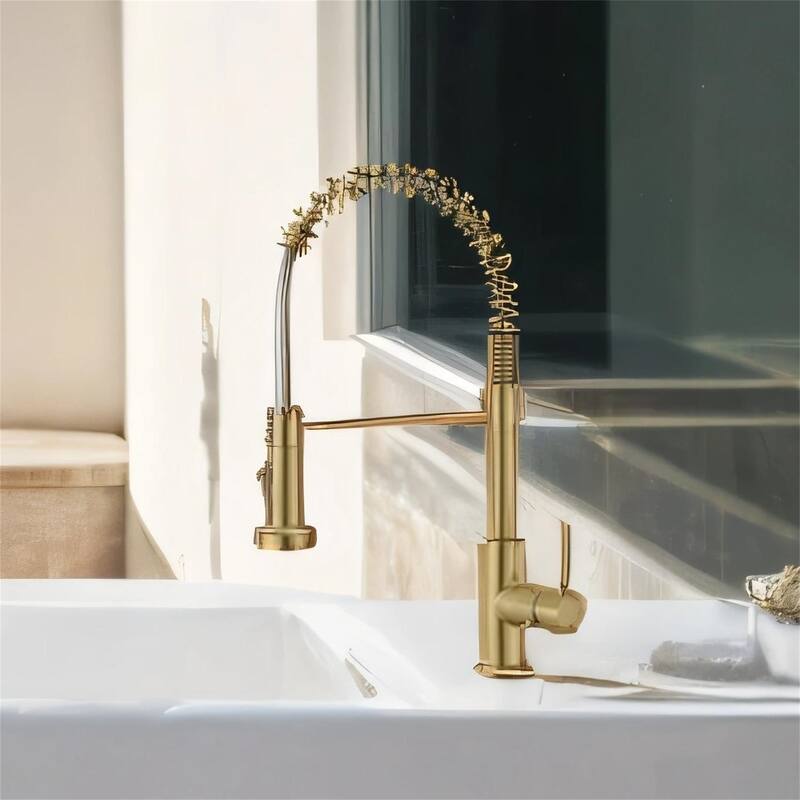 Stainless Steel Kitchen Faucet with Pull-Down Sprayer, Single Handle