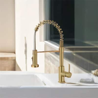 Stainless Steel Kitchen Faucet with Pull-Down Sprayer, Single Handle