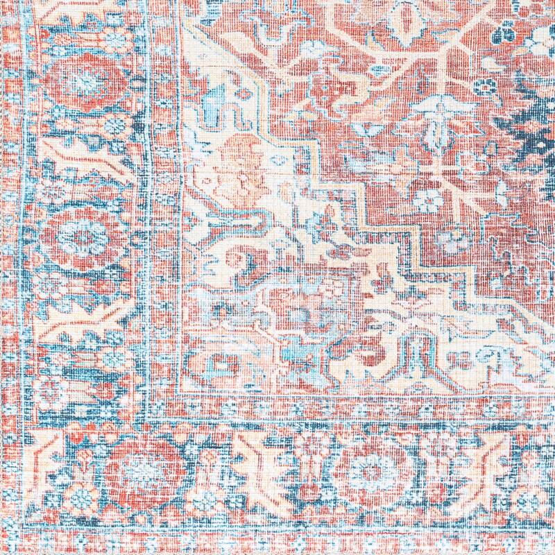 Cantu Machine Washable Distressed Area Rug