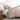 Linery & Co. Floral Scalloped Cotton Quilt and Sham Set
