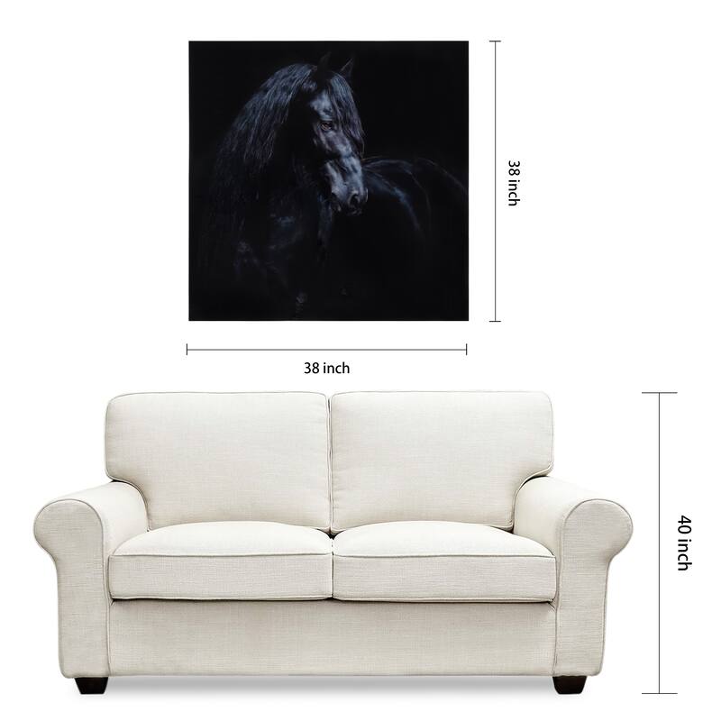 "Black Equine Attraction" Frameless Free Floating Tempered Glass Panel Graphic Wall Art