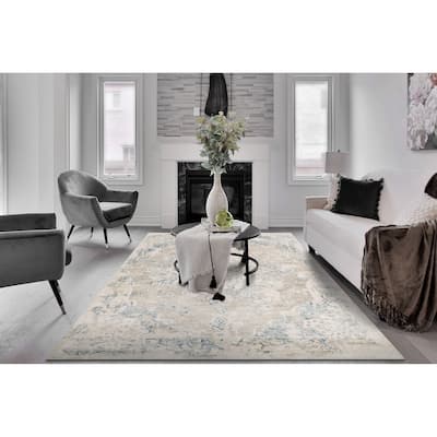 Dynamic Rugs Quartz Transitional Area Rug