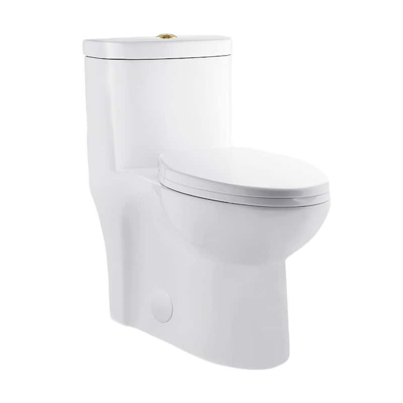 Besanon One Piece Elongated Toilet Dual Flush, Brushed Gold Hardware 1.1/1.6 Gpf - 27.75" x 15.55" 28.4"