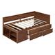 Option Walnut