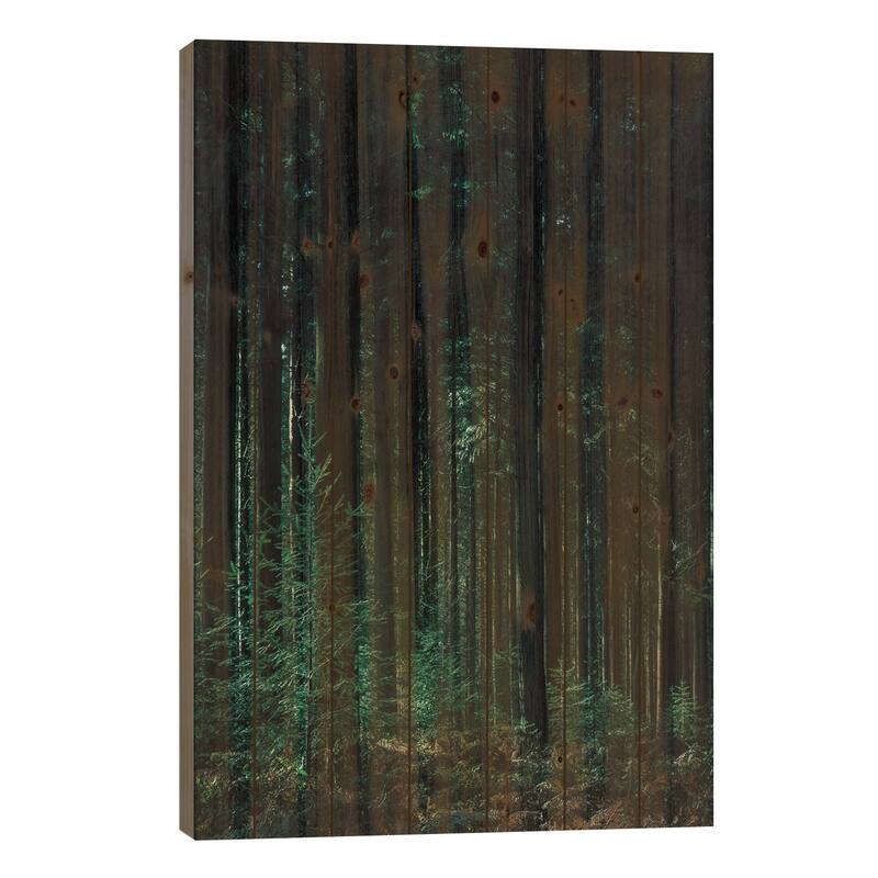 Deep Green Print On Wood by Design Fabrikken - Multi-Color - 26x18x1.5