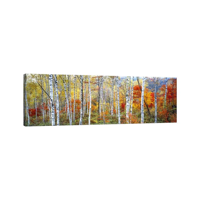 "Fall Trees, Shinhodaka, Gifu, Japan" Panoramic Images Canvas Print
