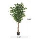 preview thumbnail 10 of 11, Harney Artificial Tabletop Ficus Tree by Christopher Knight Home