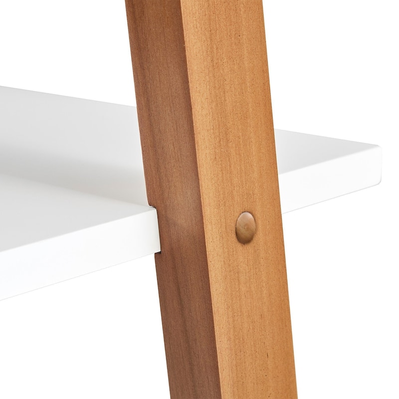 Ranell Leaning Ladder Shelves by iNSPIRE Q Modern