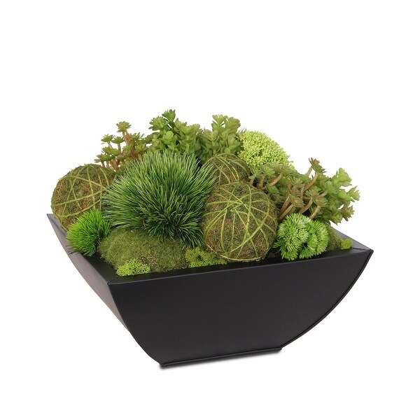 5 Artificial Grass Cactus & Mini Pine Tree Succulents Plants Landscape 