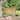 Sunnydaze 2-Person Teak Patio Bench for Outside