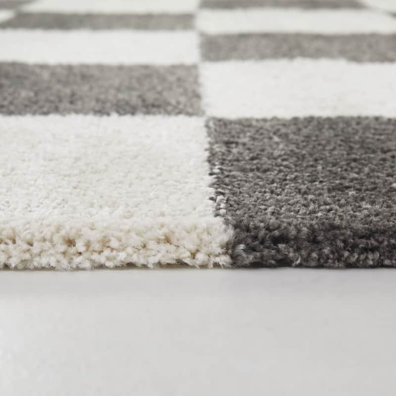 Reinhart Checkered Area Rug